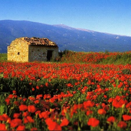 Maison De Village De 98 M2 Typiquement Provencale Pierrevert المظهر الخارجي الصورة