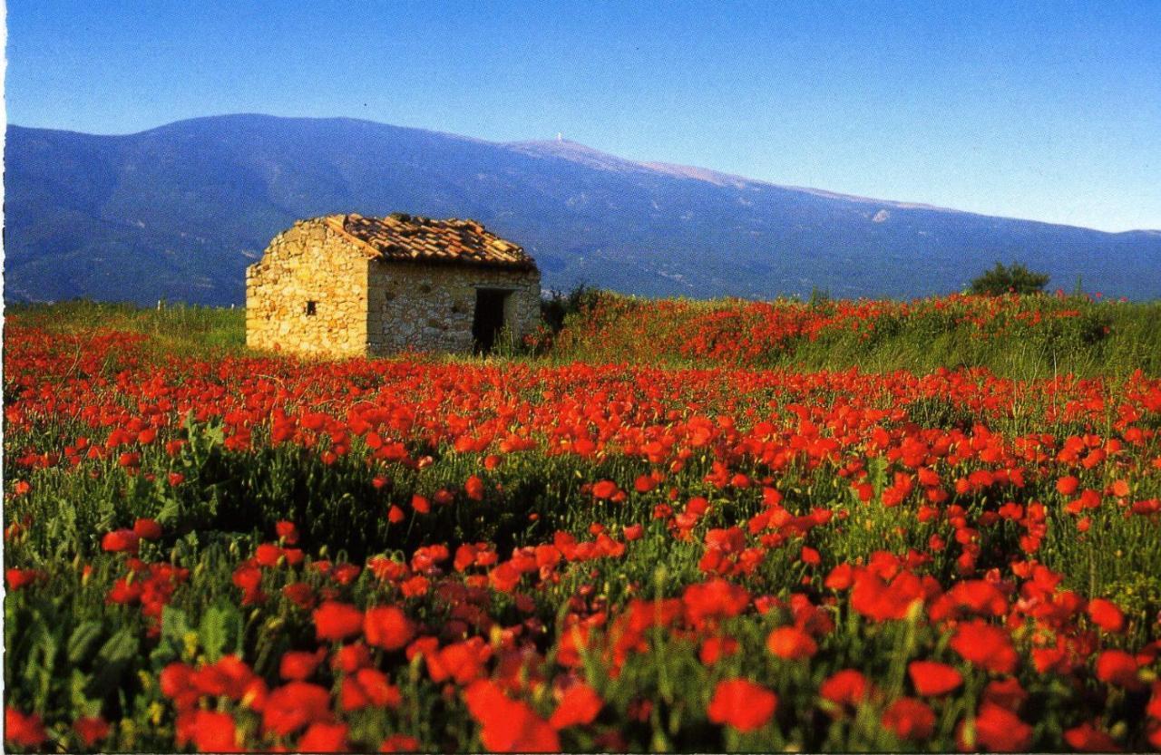 Maison De Village De 98 M2 Typiquement Provencale Pierrevert المظهر الخارجي الصورة